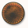 Brown Light 109L